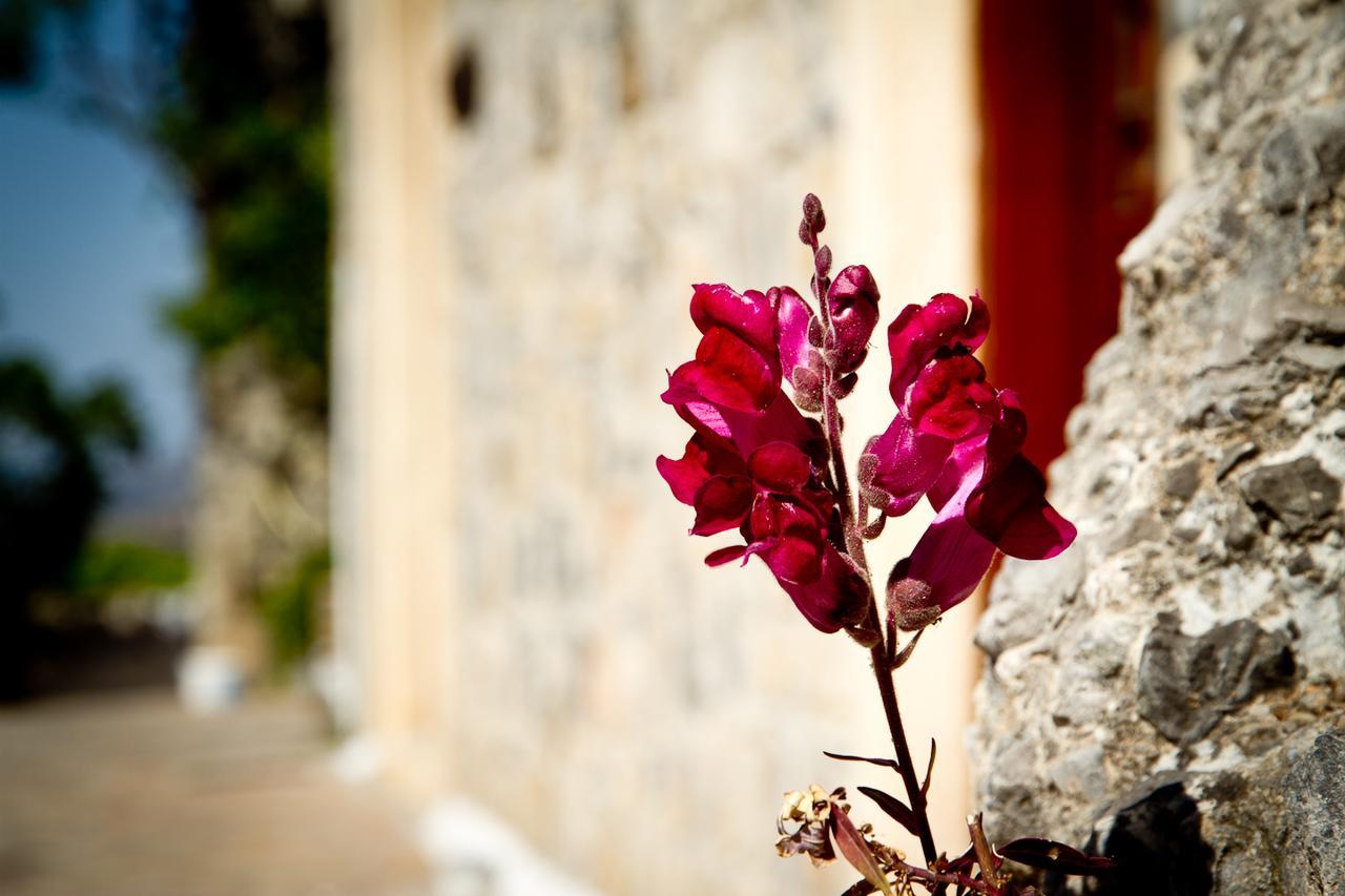 Monastiraki Traditional Guest House Monastirakion  Eksteriør bilde